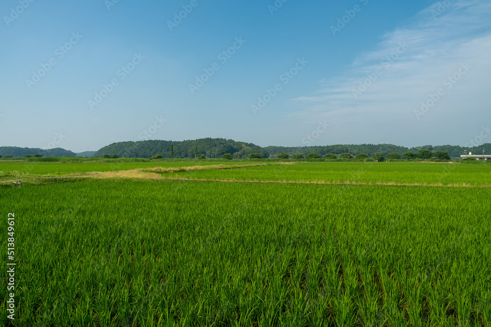 田園風景 田園風景