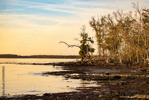 Sunset colors in the Florida Everglades