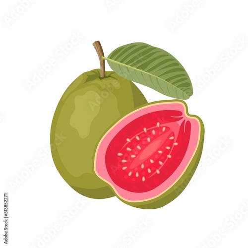 Vector illustration, Tropical fruit Guava, whole fruit and halved, isolated on white.