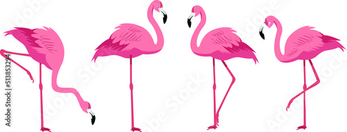 Flamingo with four poses vector flat illustration