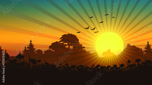 sunset in the forest