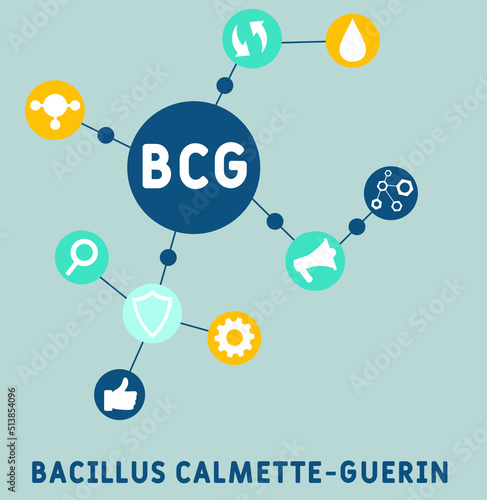 BCG Bacillus Calmette-Guerin acronym. medical concept background.  vector illustration concept with keywords and icons. lettering illustration with icons for web banner, flyer, landing page