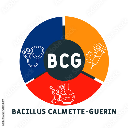 BCG Bacillus Calmette-Guerin acronym. medical concept background.  vector illustration concept with keywords and icons. lettering illustration with icons for web banner, flyer, landing page
