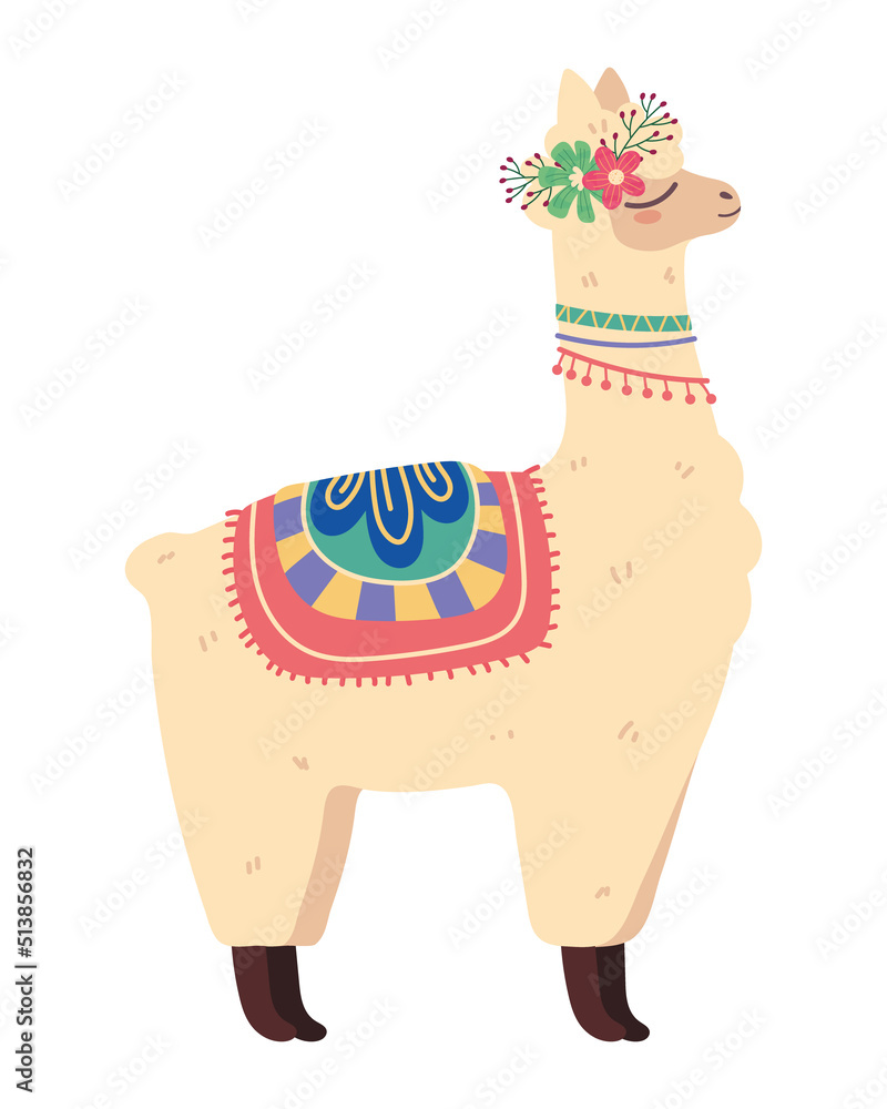 Naklejka premium cute llama animal