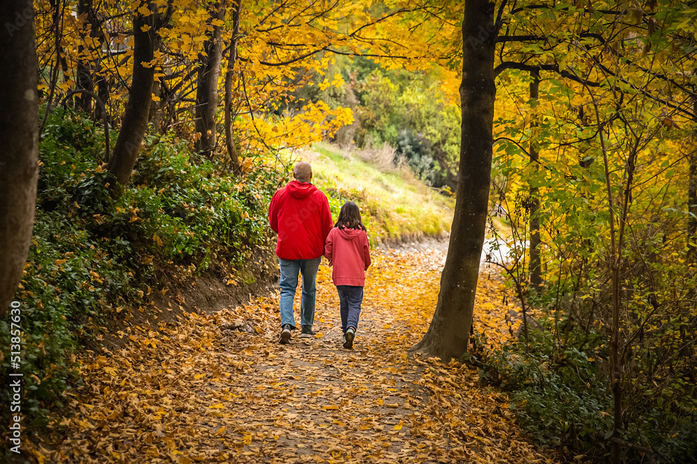 people walking in golden autumn landscape, yellow leaves in a forest or park, beautiful fall background, outdoor shot