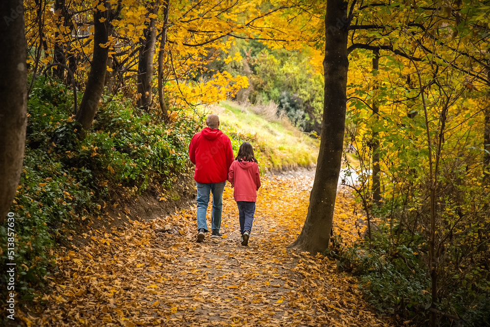 Fototapeta premium people walking in golden autumn landscape, yellow leaves in a forest or park, beautiful fall background, outdoor shot