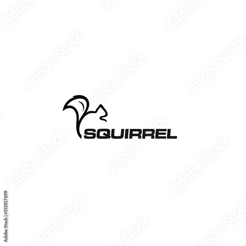 modern squirell and logo vector