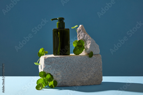 Front view of centella asiatica ( gotu kola ) decorated with white rock and cosmetic jar in blue background 