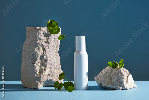 Front view of centella asiatica ( gotu kola ) decorated with white rock and cosmetic jar in blue background 