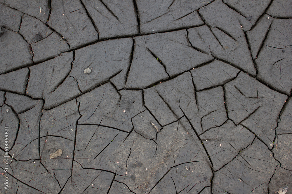 Obraz premium deep cracks in the spring ground