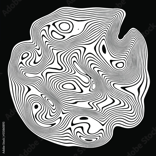 Black and white background with glitched curves and wavy lines.
