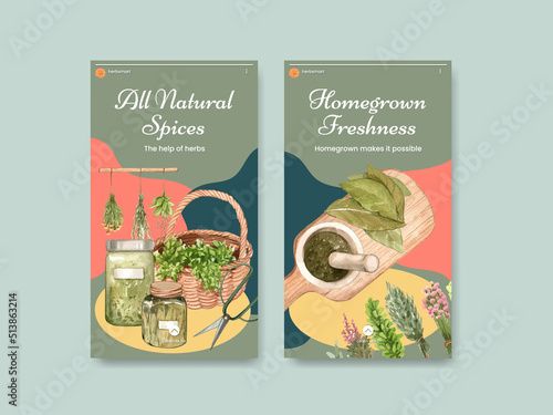 Instagram template with herb homegrown concept,watercolor style