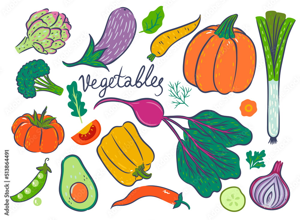 Set of vegetables isolated on white background. Vector graphics. Set of vegetables isolated on white background. Vector graphics.