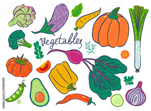 Set of vegetables isolated on white background. Vector graphics.