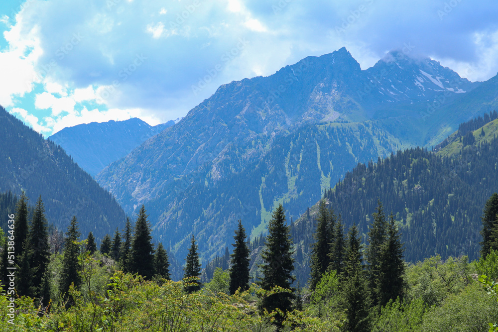 beautiful mountain landscape. panorama of the mountains. summer day.