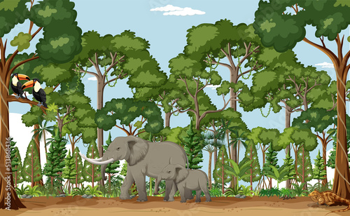 Forest scene with various wild animals