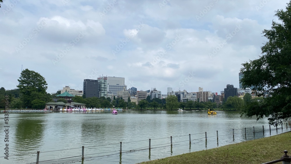 Obraz premium The moss green water pond at downtown Ueno Tokyo Japan, with beautiful clouds and skylines. Year 2022 June 22nd