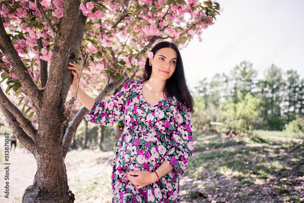 pregnant girl in a dress near the sakura in the garden pregnant girl in a dress near the sakura in the garden