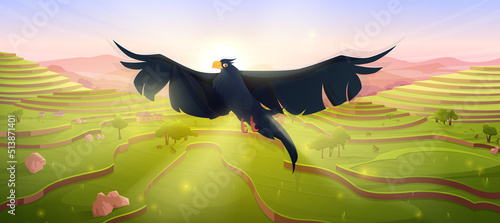 Cartoon black eagle bird flying over Asian rice field terraces landscape. Paddy plantation in mountains, scenery summer wild nature background. Falcon, crow or hawk wildlife, Vector illustration