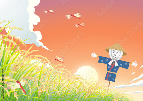 稲　稲穂　田んぼ　かかし　夕焼け空