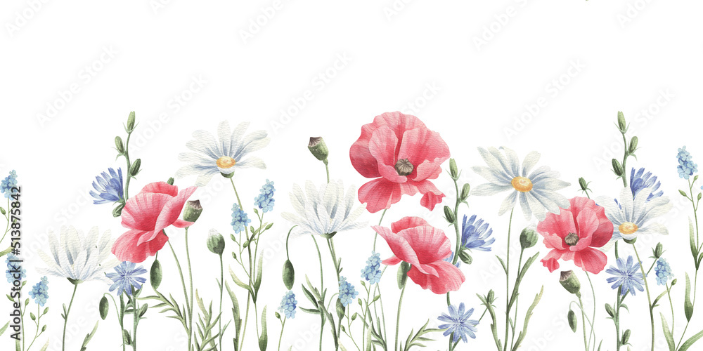 Watercolor seamless pattern with wild flowers isolated on white.