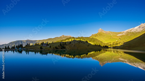 reflection in the lake
