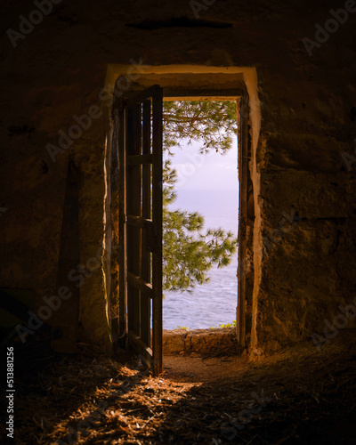door with the view