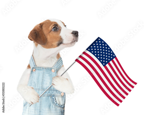 Happy jack russell terrier wearing overalls celebrating  independence day 4th of july with usa flag. isolated on white background © Ermolaev Alexandr