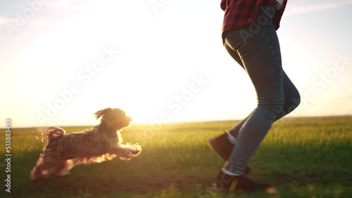 dog and teenage girl running in the park legs close-up. animal pet run. sport health happy family kid dream concept. shaggy dog runs in nature in the park on the grass after the owner of the girl sun