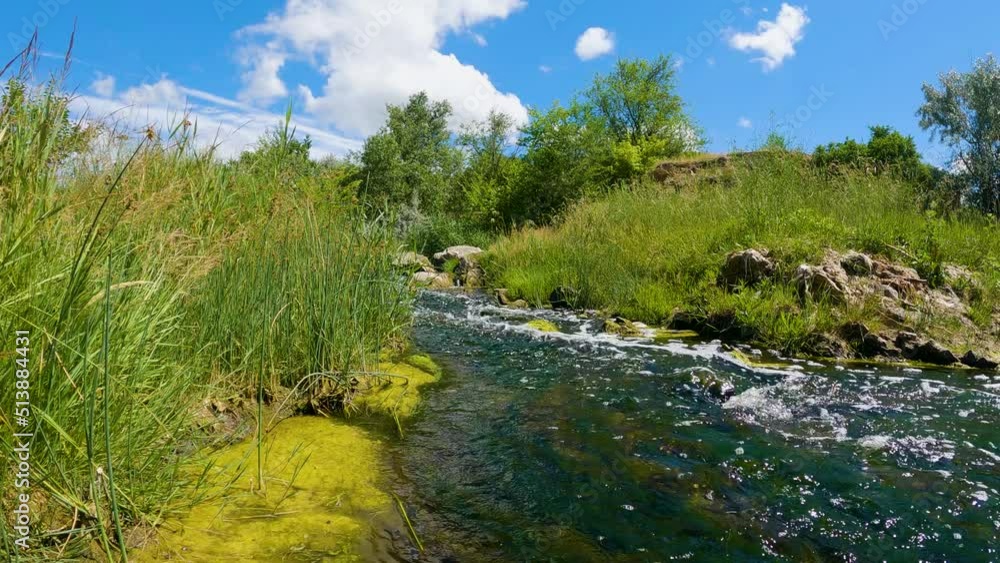 The river flows along the redds. Wildlife. The river flows along the redds. Wildlife.