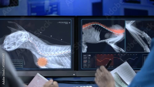 Vet doctors Close up