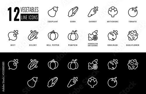 Set vegetable icons tomato, pumpkin, beet, carrot, artichoke, bell pepper, eggplant, kohlrabi, cauliflower, maize, pumkin, celery. Isolated vector icons in Line style for app, website.