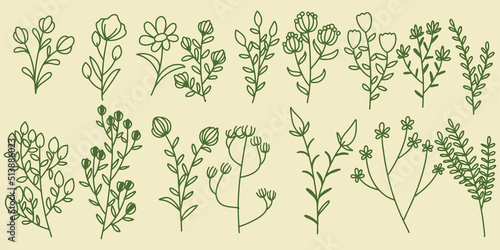 Sixteen Hand drawing set fl...