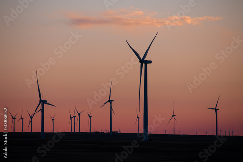 Wind turbines in a field at sunset in a rural.