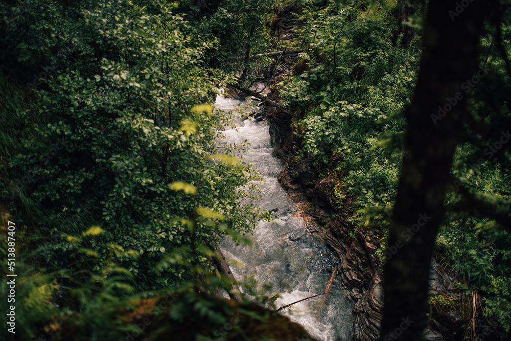 waterfall in the forest Switzerland waterfall in the forest Switzerland