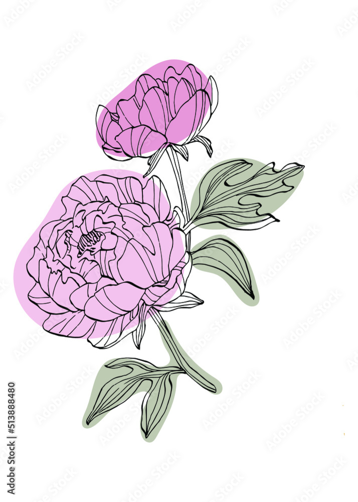 Set of Abstract Peony Hand Painted Illustrations for Wall Decoration, minimalist flower in sketch style. Postcard, Social Media Banner, Brochure Cover Design Background. Modern Abstract Painting Set of Abstract Peony Hand Painted Illustrations for Wall Decoration, minimalist flower in sketch style. Postcard, Social Media Banner, Brochure Cover Design Background. Modern Abstract Painting