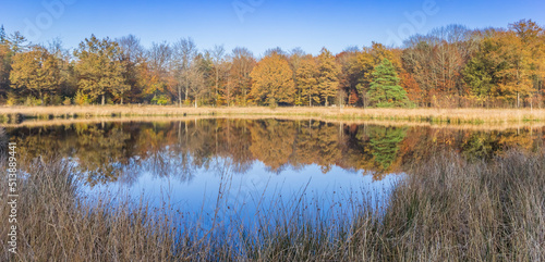 Panorama of a little lake in the nature preserve of Borger, Netherlands