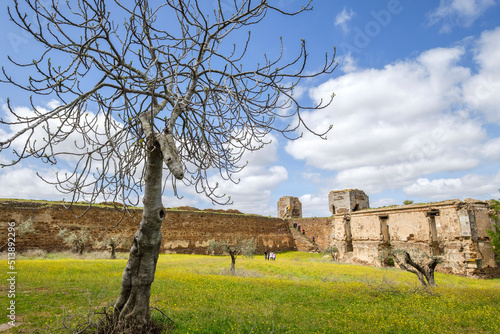 castillo de Mourão, siglo XIV, Mourão, Distrito de Évora, Alentejo, Portugal photo