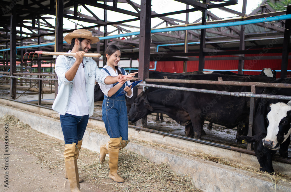 Attractive young man and woman dairy farmer working outdoors in farm. Attractive young man and woman dairy farmer working outdoors in farm.