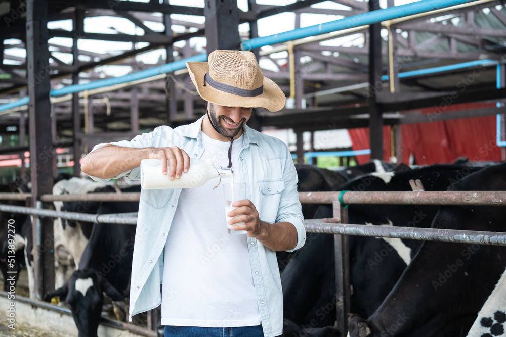 Fototapeta premium Caucasian male dairy farmer drink a bottle of milk at livestock farm.