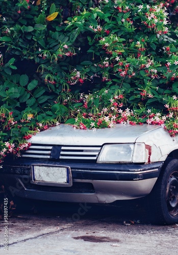 old car in bush flower