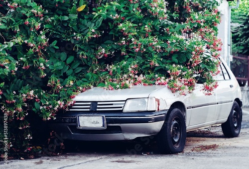 old car in bush flower