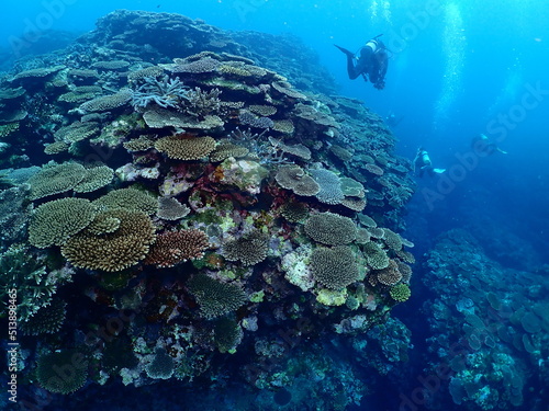 Beautiful coral reef and scuba divers in Ishigaki island photo
