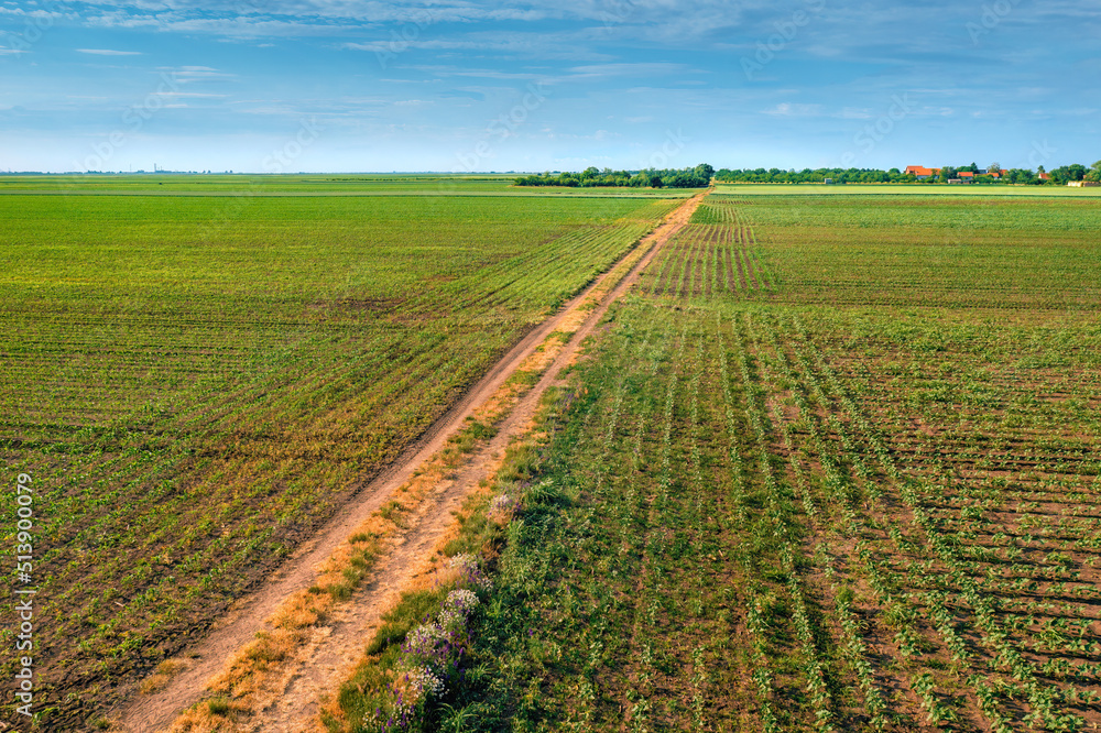 Aerial view of country dirt road through cultivated landscape
