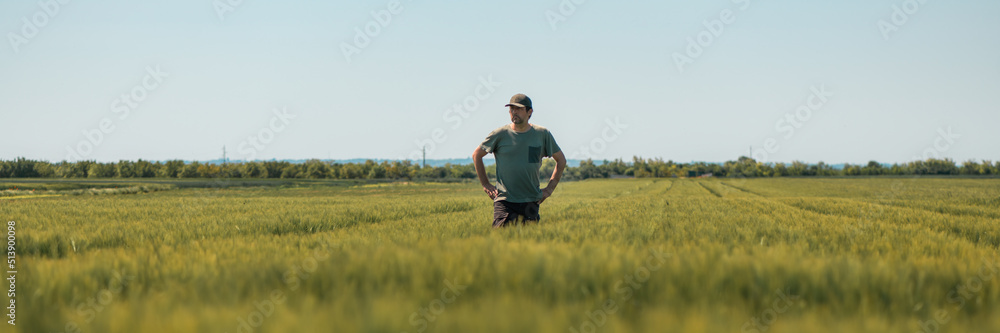 Panoramic image of middle-aged farmer with hands on hips standing in unripe barley crops field and looking over plantation, wearing green t-shirt and trucker hat on bright sunny spring day Panoramic image of middle-aged farmer with hands on hips standing in unripe barley crops field and looking over plantation, wearing green t-shirt and trucker hat on bright sunny spring day