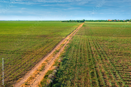Aerial view of country dirt road through cultivated landscape