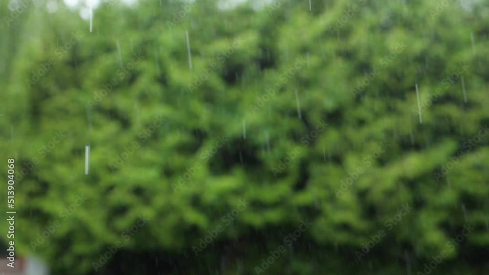 heavy summer rain in slow motion with blurry green foliage heavy summer rain in slow motion with blurry green foliage