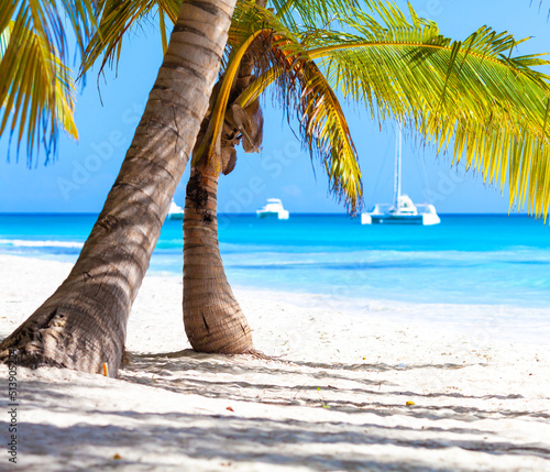 Vacation summer holidays background wallpaper - sunny tropical Caribbean paradise beach with white sand in Seychelles Praslin island Thailand style with palms photo