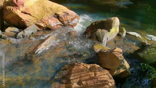 waterfall in the forest