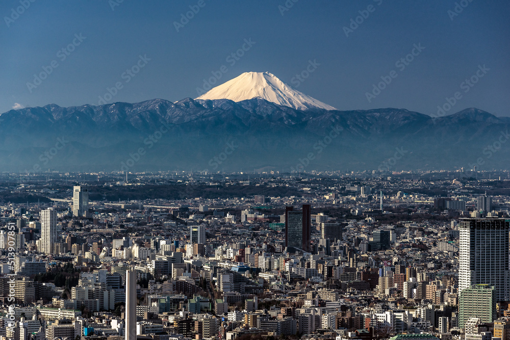 High view of building city with Mount Fuji background.